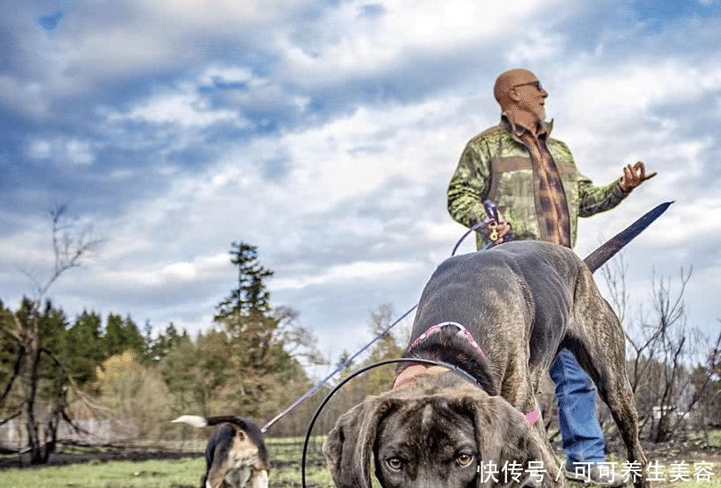 t012dba341878a04c6a.jpg?size=809x548