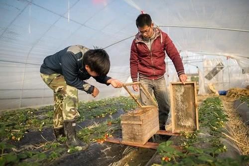  【补贴】好消息！农村4大补贴来袭，村干部配合发放，农民又有钱