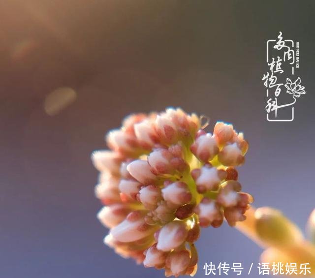  #喜欢#一粥一饭填饱肚子，一屋一花神仙日子！生命不止，玩趣不停！