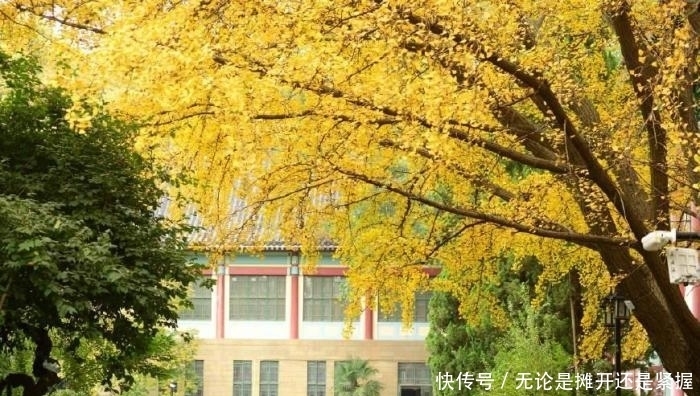  [唯一]中国唯一辐射了两个省的特大城市, 非常有望被直辖!