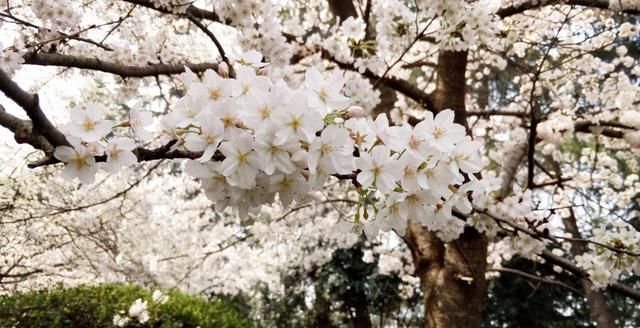 湖北最有意思的5个景区，其中有座山是我国著名的道教圣地