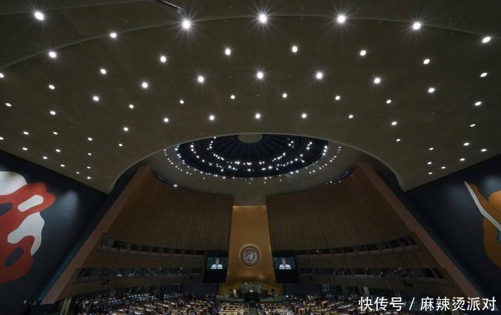 联合国草案和决议草案