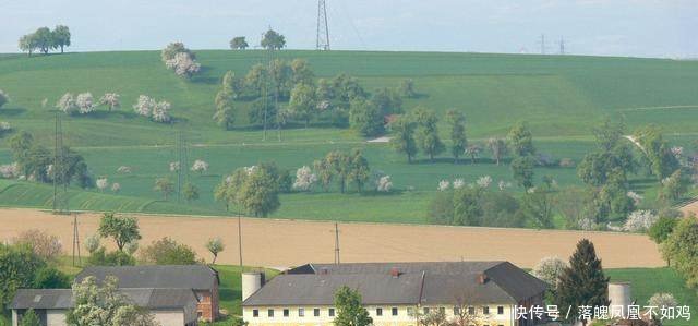  【养老金】注意家有六十以上老人可享3项补贴，看完赶紧去领钱！