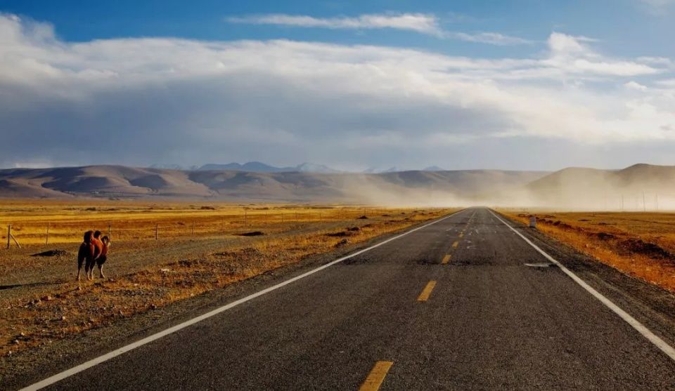 美景 | 这条穿越沙海的公路，秋天简直美爆了!
