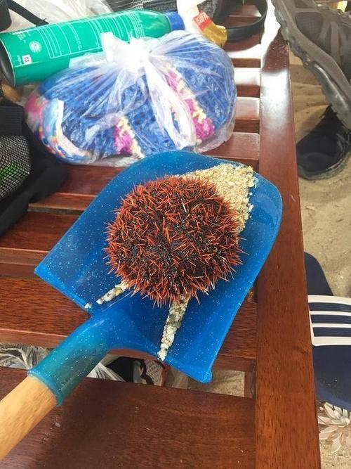 水清沙白的他乡——三亚。