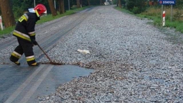 世界会下“海鲜雨”的国家，万条活鱼流入空中降落，是好还是坏？