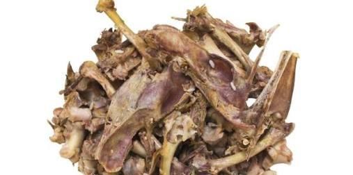 「花箭」红掌爱吃大骨头,给它喂一点,花箭蹭蹭窜,开花红艳艳!