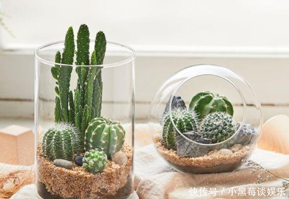  玩偶：不能出门连手机都玩腻了盘点6件解腻好物，拯救无聊