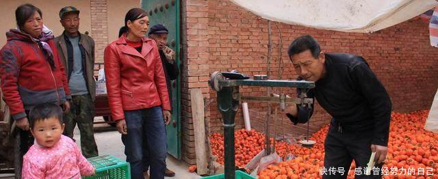 创业不如回农村，这8个赚钱好项目有干头，任意一个都比打工强！