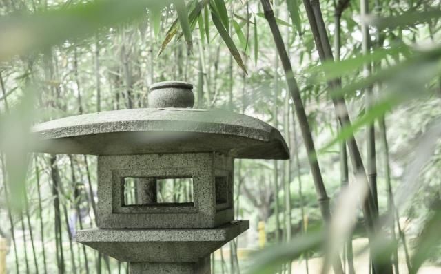 等有钱了，就造一个日式庭院，静谧悠然禅意十足，每天喝茶赏花