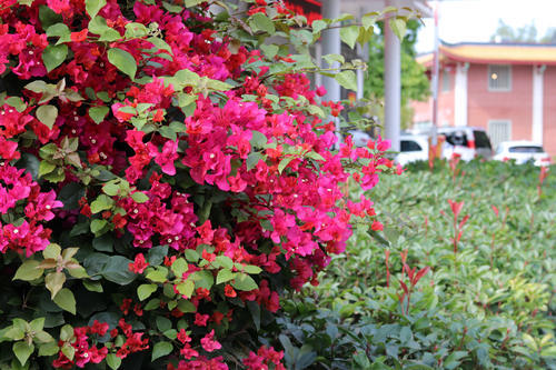 大雪将至,而这座城市却总是入冬失败,街上行人各种乱穿衣