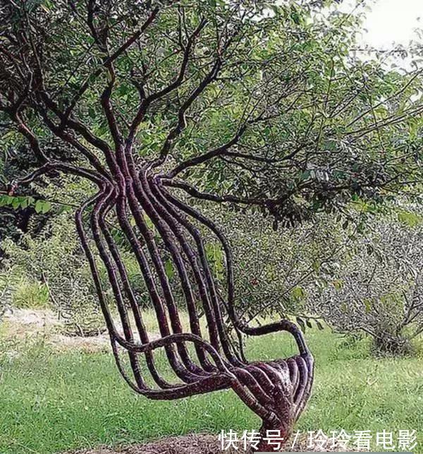  椅子@大爷花10年“种椅子”，一把卖80000！这些文玩在家也能种