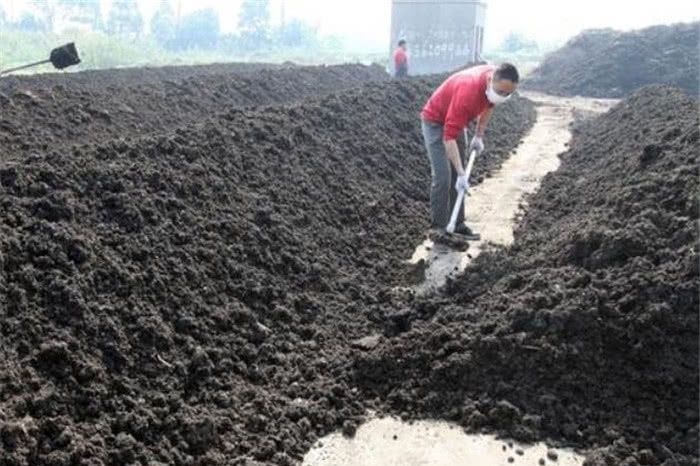  【拆除】农村这三个地方禁止“搞养殖”，会面临巨额的罚款，甚