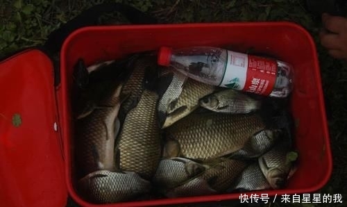  「天气」这里的鱼不仅多, 而且傻, 钓鱼拉得手抽筋
