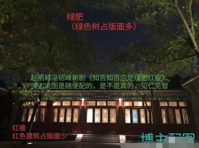 当红小花暂退娱乐圈,被爆疑似要隐婚生子,不料真相让人心酸