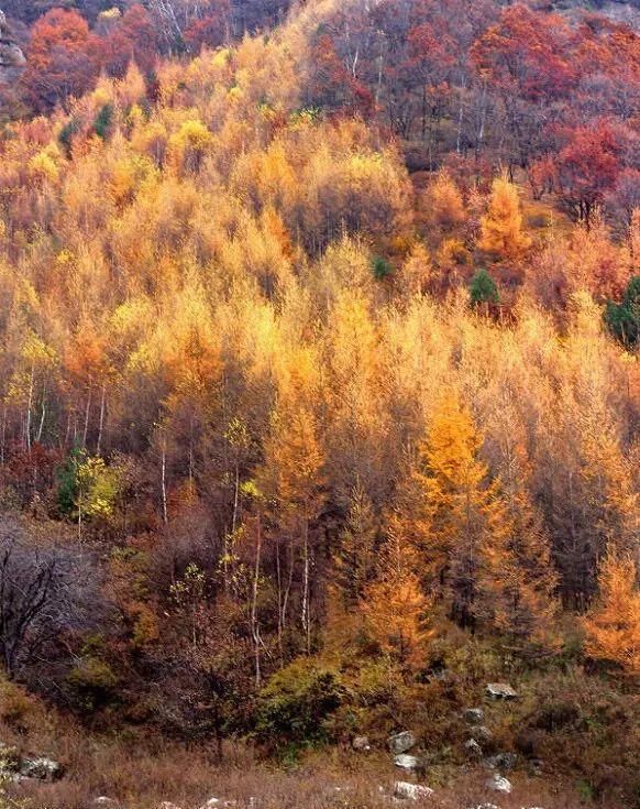 秋日里，山西20处绝美赏秋胜地美的像仙境