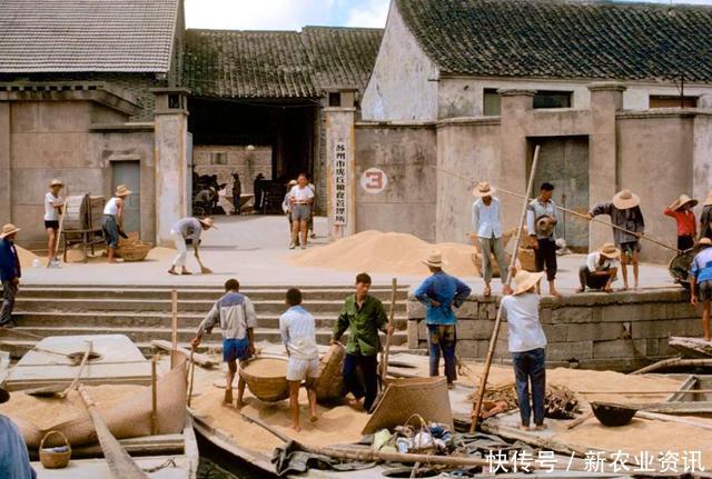 曾是农村的“铁饭碗”，如今已然衰败，尤其第3种，农民都要讨好