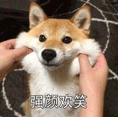 这三十块的包包竟有颜又平价?第一款直接被萌翻!