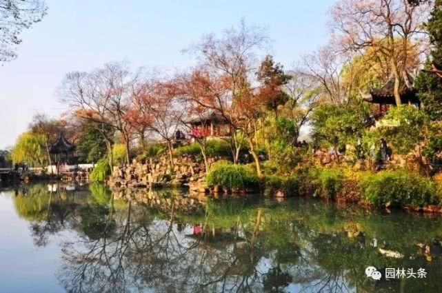  【棕榈科伞形】558种 · 园林植物配置大全