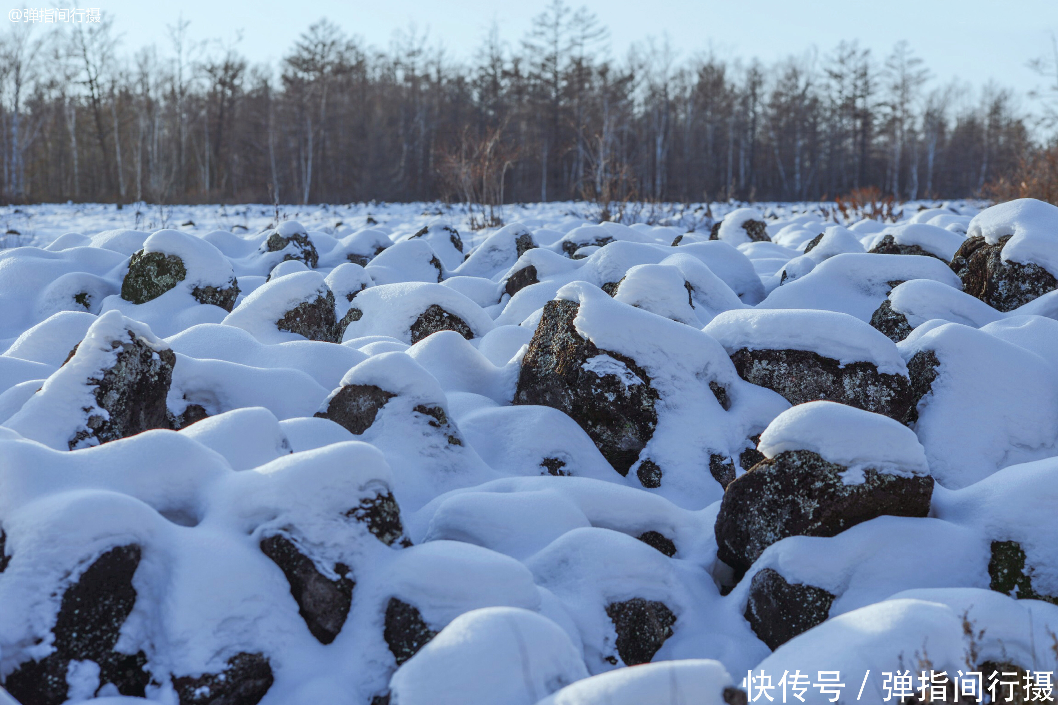 第一次在东北看到这种诡异雪景，你看像什么？南方游客：挺吓人