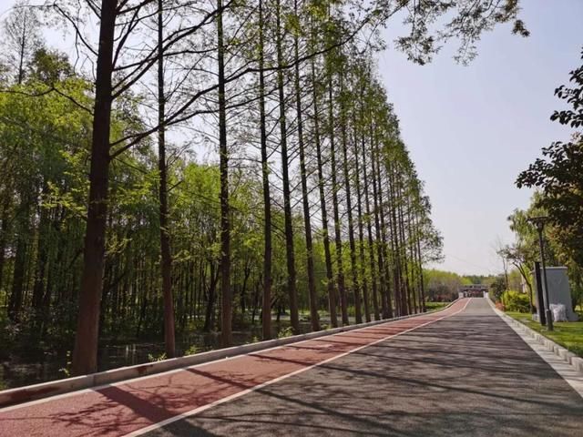  生活：今年年底，苏州河将变成什么模样？