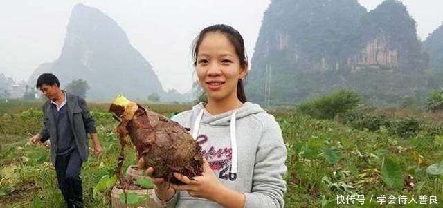 农村姑娘不在城里工作，回乡种植这种大叶子植物，亩赚一万多元