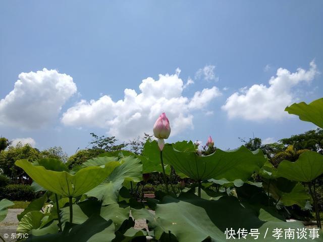 湖北这个市与武汉相邻, 却至今不通高速公路和铁路