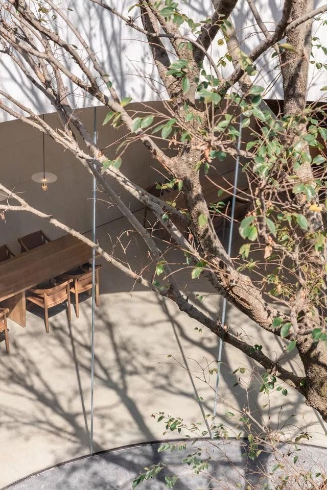 万有引力：光、空气、水，温润质朴的和谐之音