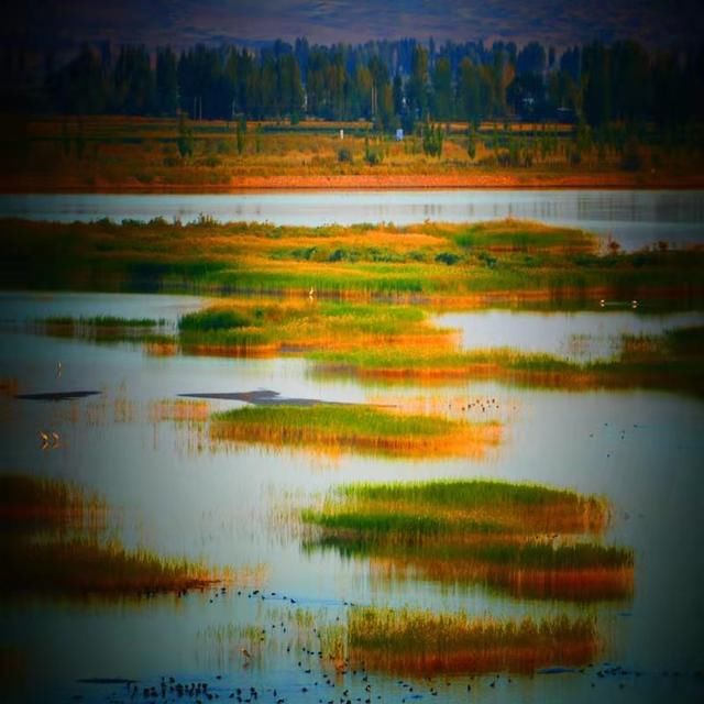 绿洲之城：祁连山下的灵秀高台