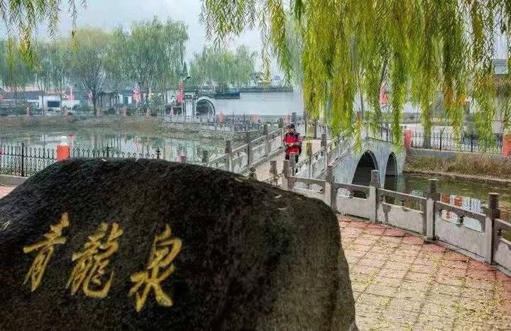 泰山区摄影家协会：镜头记录乡村之美