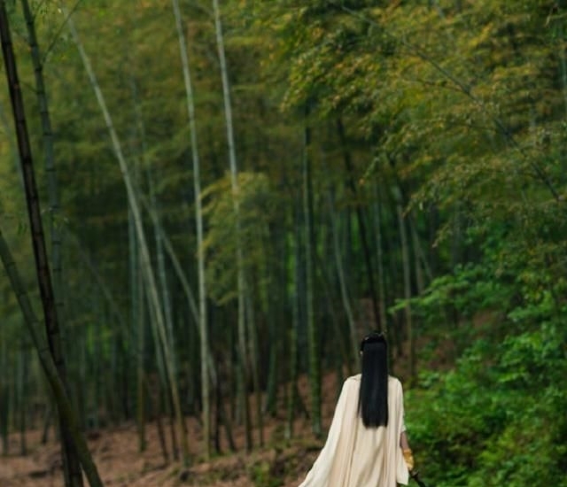  [刘诗诗]新电视剧速报：任嘉伦《秋蝉》上映，刘诗诗倪妮协作，赵丽颖《有翡》杀青