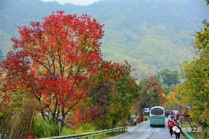 皖南的塔川,秋天的骄傲,极美的色彩天堂