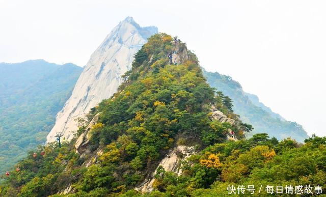 中国最鼓励生孩子的省生育率全国倒数第一，最早提出奖励生育