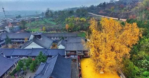 没有PS我怀疑我看了张假照片，那些年让人惊叹的真是照片