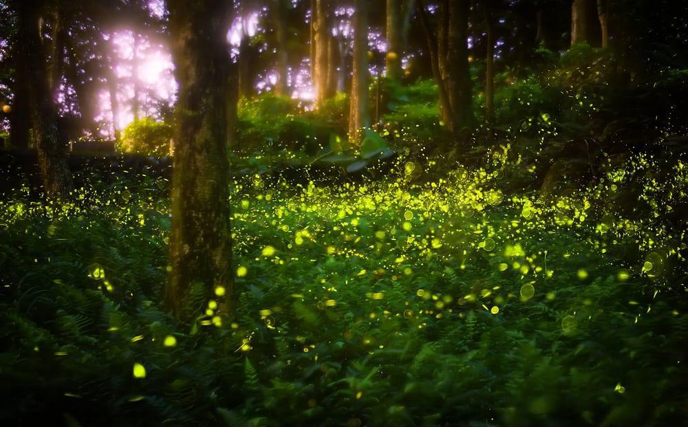 难以置信的美丽 地球上奇异的自然现象 看完涨知识了!