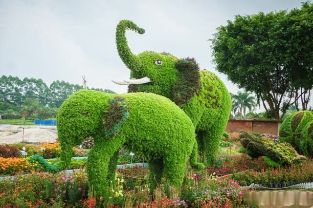 中国的绿城就藏于广西南宁，多个旅游景点免费畅玩，实在太良心了