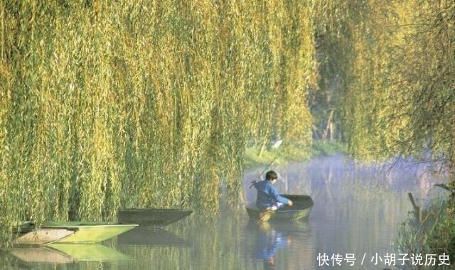  [生人]“生人不栽柳树，人老不躺杨木”，一老农给出解释，专家