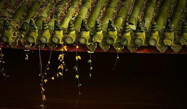 比灵隐寺低调，更少有游客踏入，浙江还有一座古色古香的古寺