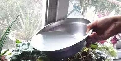 「药片」家里5种过期药片别扔,能杀菌防烂根,都是养花的宝贝!