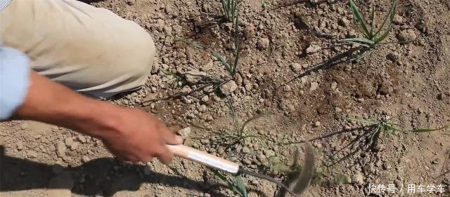 外国小哥发明“自行车”喷雾器，一天能喷20亩地，50元改装一台