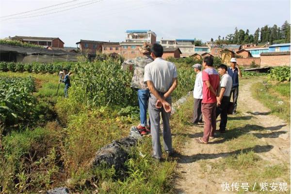 农村@农村这3种房子别再建了！一旦查出不仅被拆，还可能面临罚