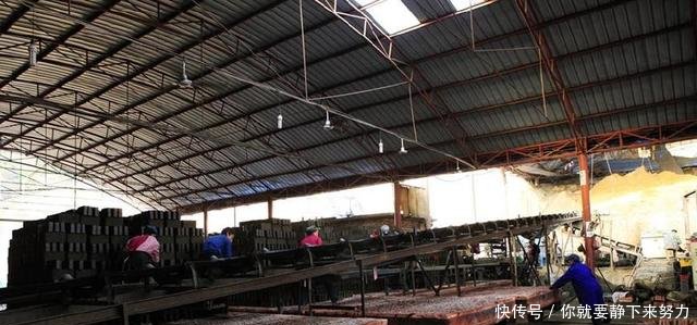 农村烧制红砖容易有污染农民5句掏心窝的话，让专家哑口无言！