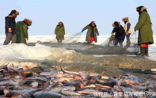 查干湖的鱼为何越捞越多？“洗澡鱼”又是什么？当地人告诉你答案