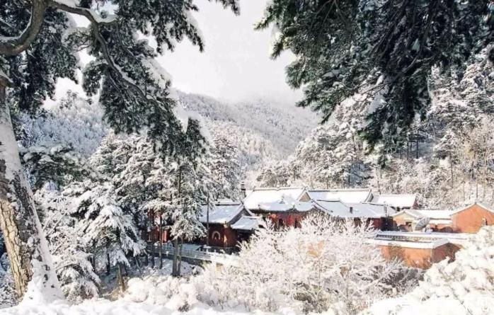 4月的五台山大雪纷飞，这样美景不是多有人都能目睹的！