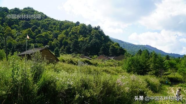 自驾游眉凤路到太白山以西第一高峰玉皇山，人少景美你一定要来哦