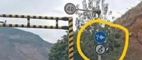  [标志]高速路上的“问号加灯泡”标志是什么意思？很多人可能还