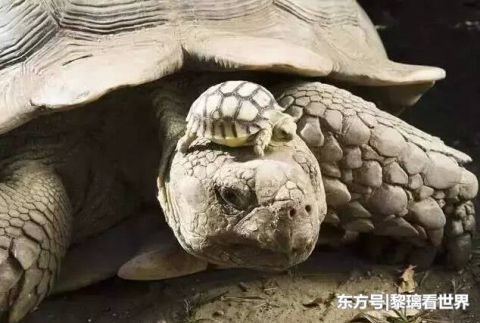 全球9大奇观，美到发狂令人窒息