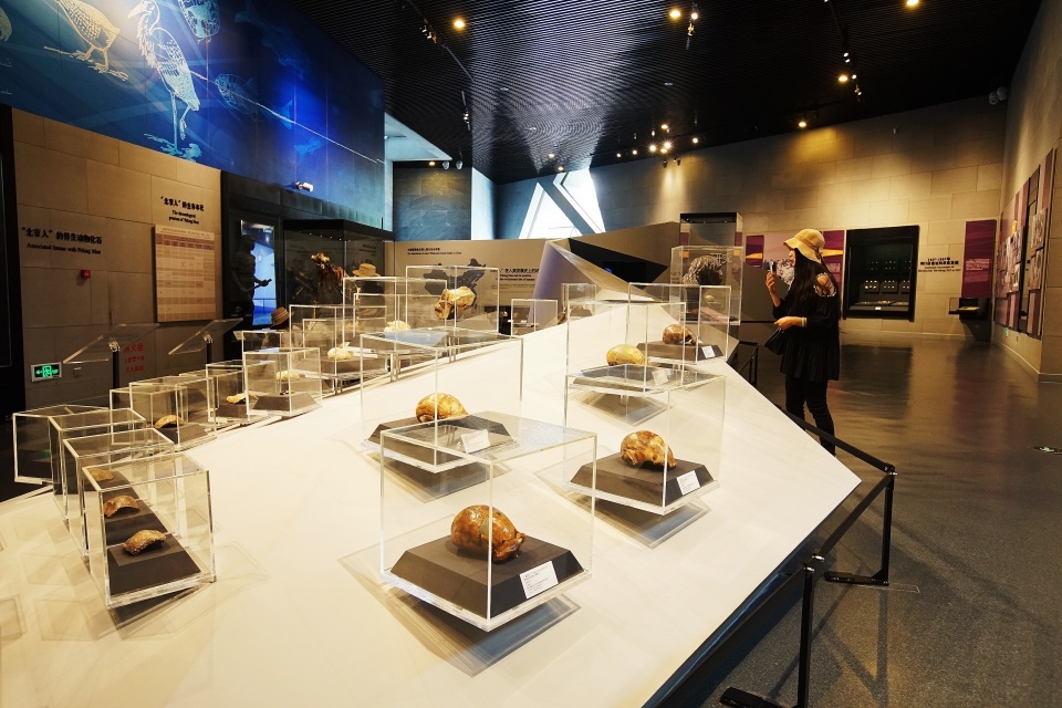 北京老年证如何办理