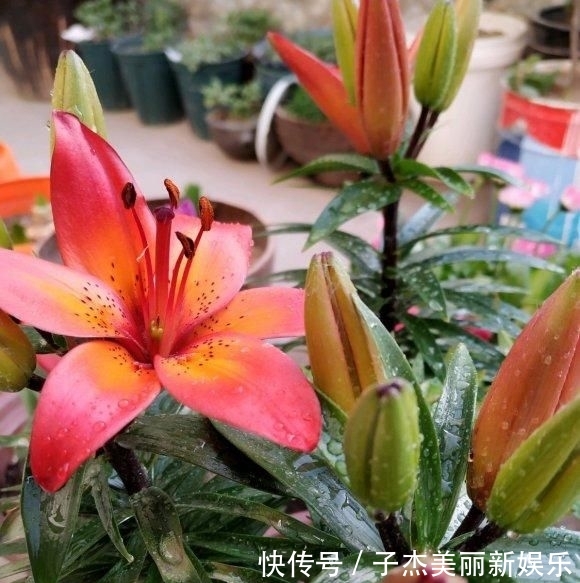  [女人]女人50岁以后，少弄这“4种”发型，显老俗气不说，还易伤发掉发