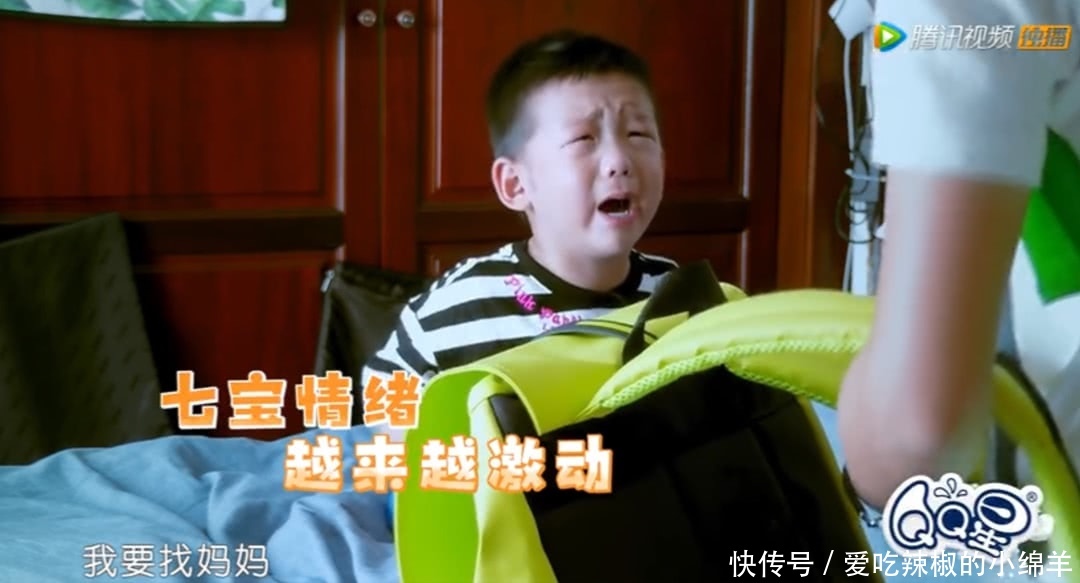 媒体造谣七宝说谎成性，何洁发飙怒斥媒体消费孩子